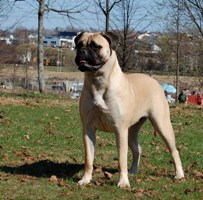 Hilma 14 kk/months